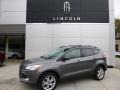 Sterling Gray Metallic - Escape SE 2.0L EcoBoost 4WD Photo No. 1