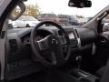 Brilliant Silver - Xterra PRO-4X 4x4 Photo No. 10