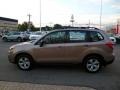 Burnished Bronze Metallic - Forester 2.5i Photo No. 6