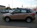 2015 Burnished Bronze Metallic Subaru Forester 2.5i  photo #6