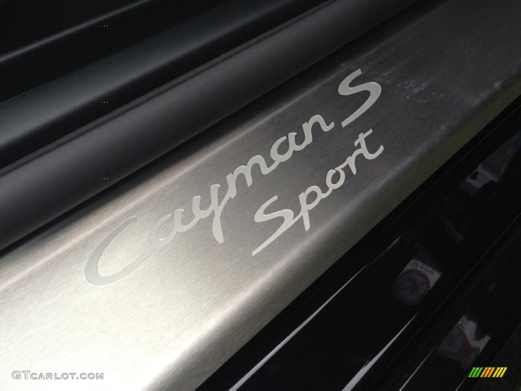 2008 Porsche Cayman S Sport Marks and Logos Photo #98249108