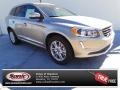 Sea Shell Metallic - XC60 T5 Drive-E Photo No. 1