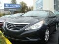 Pacific Blue Pearl - Sonata GLS Photo No. 1