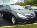 Pacific Blue Pearl - Sonata GLS Photo No. 3