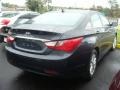 Pacific Blue Pearl - Sonata GLS Photo No. 4