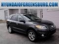 2012 Black Forest Green Hyundai Santa Fe Limited V6 AWD  photo #1