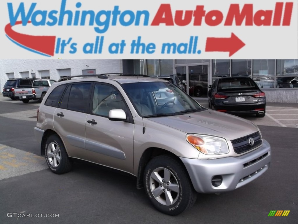 2004 RAV4  - Savannah Beige Metallic / Taupe photo #1