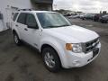 Oxford White - Escape XLT V6 Photo No. 3