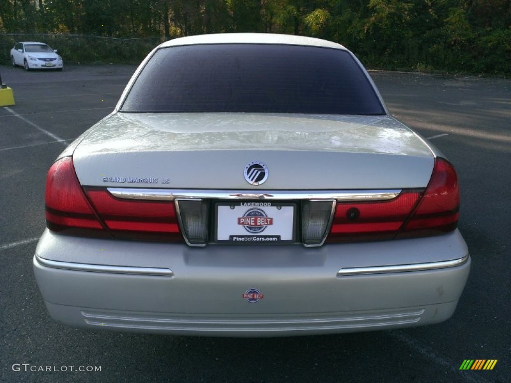2004 Grand Marquis LS - Gold Ash Metallic / Light Flint photo #6