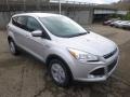 Ingot Silver Metallic 2015 Ford Escape SE Exterior