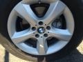 Platinum Bronze Metallic - X5 3.0si Photo No. 31