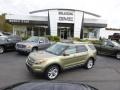 2013 Ginger Ale Metallic Ford Explorer Limited 4WD  photo #1