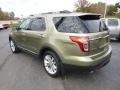 2013 Ginger Ale Metallic Ford Explorer Limited 4WD  photo #7