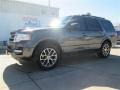2015 Magnetic Metallic Ford Expedition XLT  photo #6