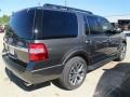 2015 Magnetic Metallic Ford Expedition XLT  photo #10