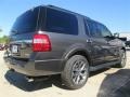 2015 Magnetic Metallic Ford Expedition XLT  photo #11