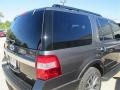 2015 Magnetic Metallic Ford Expedition XLT  photo #13