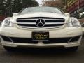 Alabaster White - R 350 4Matic Photo No. 2