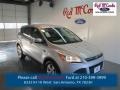 2015 Ingot Silver Metallic Ford Escape SE  photo #1