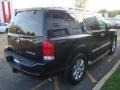 Galaxy Black - Armada Platinum 4WD Photo No. 7
