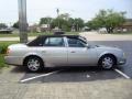 Light Platinum - DeVille Sedan Photo No. 3