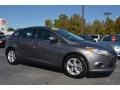 Sterling Gray - Focus SE Hatchback Photo No. 1