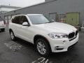 Alpine White - X5 xDrive35i Photo No. 7