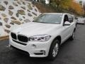 Alpine White - X5 xDrive35i Photo No. 9