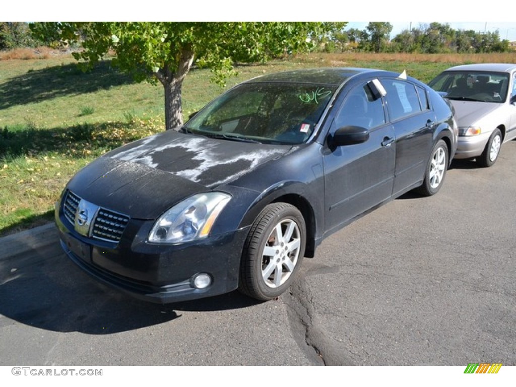 2004 Maxima 3.5 SL - Onyx Black / Frost Gray photo #4