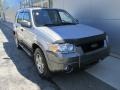 2005 Silver Metallic Ford Escape XLT V6 4WD  photo #12