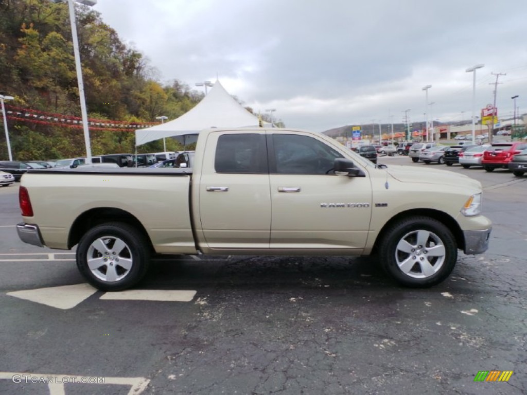 2011 Ram 1500 Big Horn Quad Cab 4x4 - White Gold / Light Pebble Beige/Bark Brown photo #6