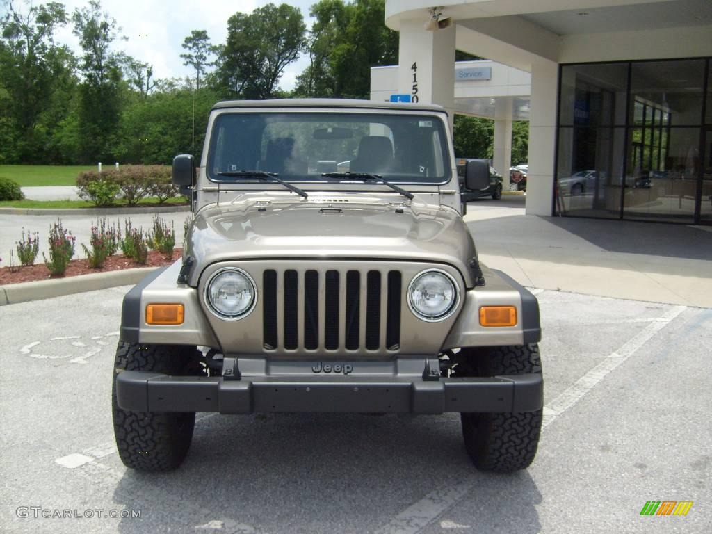 2004 Wrangler SE 4x4 - Light Khaki Metallic / Khaki photo #8