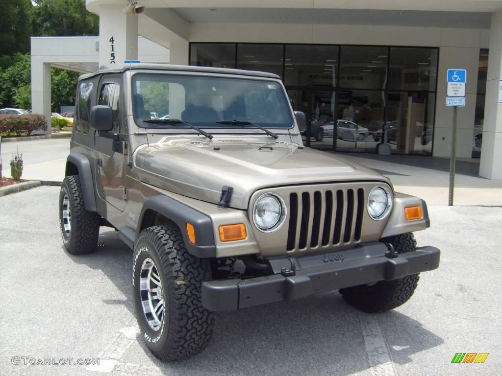 2004 Wrangler SE 4x4 - Light Khaki Metallic / Khaki photo #9