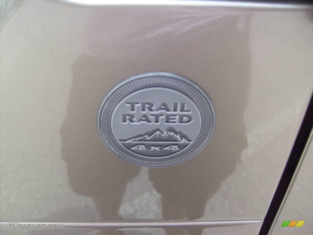 2004 Wrangler SE 4x4 - Light Khaki Metallic / Khaki photo #11