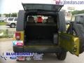 2007 Rescue Green Metallic Jeep Wrangler Unlimited Sahara 4x4  photo #8
