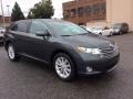 Magnetic Gray Metallic 2012 Toyota Venza LE