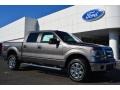 2014 Sterling Grey Ford F150 XLT SuperCrew 4x4  photo #1