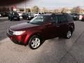 Camellia Red Pearl - Forester 2.5 X Premium Photo No. 29
