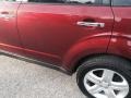 Camellia Red Pearl - Forester 2.5 X Premium Photo No. 40