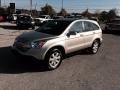 2009 Borrego Beige Metallic Honda CR-V EX-L 4WD  photo #22