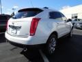Platinum Ice Tricoat - SRX Luxury Photo No. 5