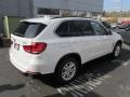 Alpine White - X5 xDrive35i Photo No. 6