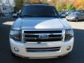 Ingot Silver Metallic - Expedition Limited 4x4 Photo No. 2