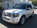 Ingot Silver Metallic - Expedition Limited 4x4 Photo No. 3