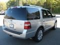 Ingot Silver Metallic - Expedition Limited 4x4 Photo No. 7