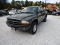 2001 Graphite Gray Pearl Metallic Dodge Dakota Sport Quad Cab 4x4  photo #1