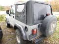 2004 Bright Silver Metallic Jeep Wrangler X 4x4  photo #2