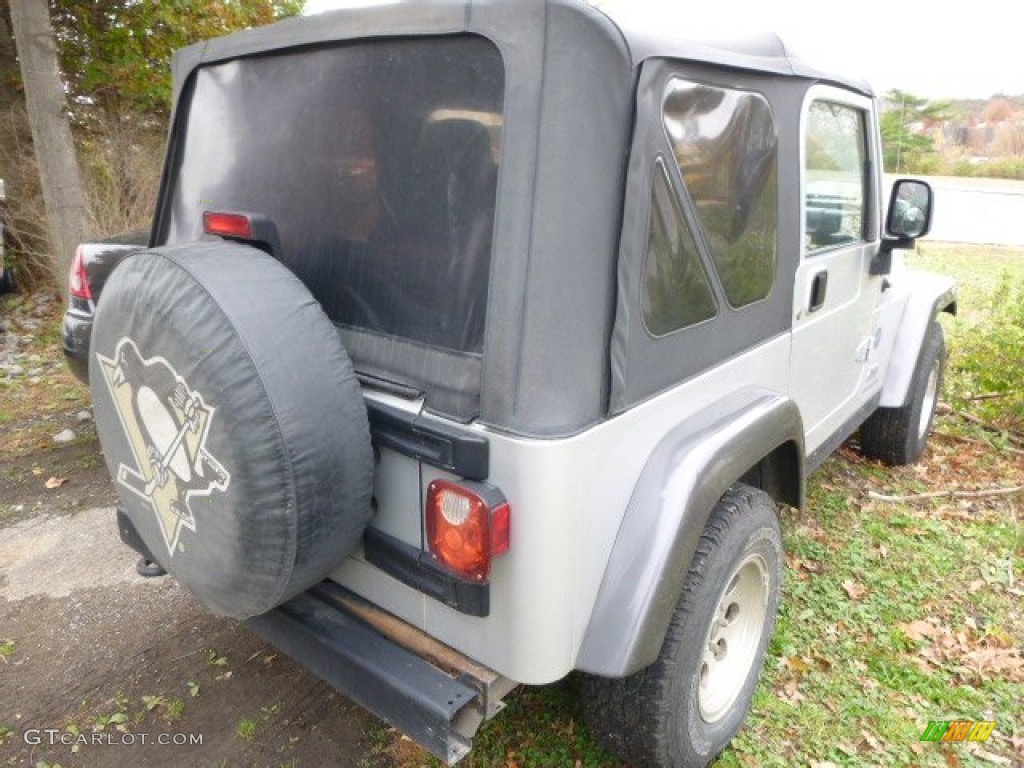 2004 Wrangler X 4x4 - Bright Silver Metallic / Dark Slate Gray photo #4