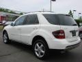Arctic White - ML 350 4Matic Photo No. 3
