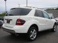 Arctic White - ML 350 4Matic Photo No. 4